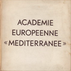 click to enlarge: Wijdeveld, H. Th. / et al Académie Européenne MEDITERRANEE. Architectuur - schilderkunst - beeldhouwkunst en ceramiek - textiel - typografie - theater muziek dans - fotografie en film.