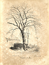 Jonghe, J. B. de - Principes de Paysages. Dessines d apres Nature et executes sur pierre.
